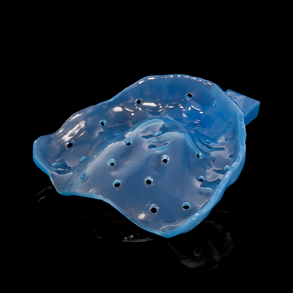 Rodin Bite Tray, 1kg/Bottle - Image 3