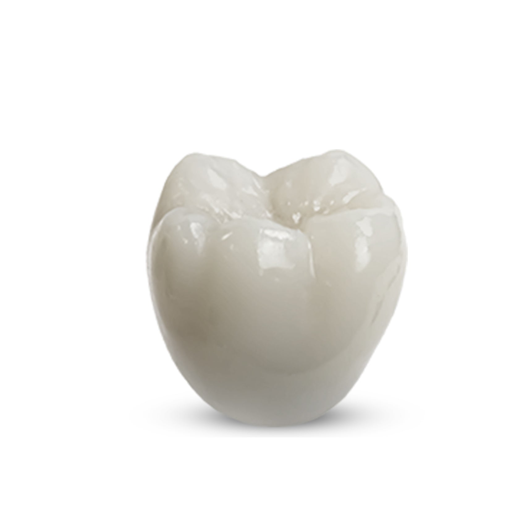 Rodin RapidCeram, 600g Bottle - Image 2