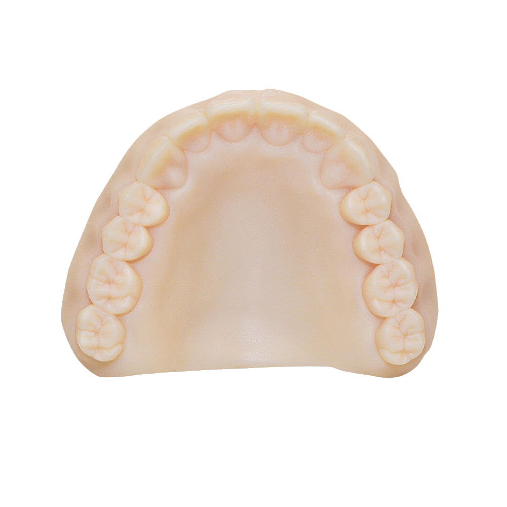 Rodin Model (TAN), 1kg/Bottle - Image 2